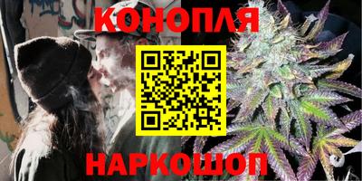 крисы Заводоуковск