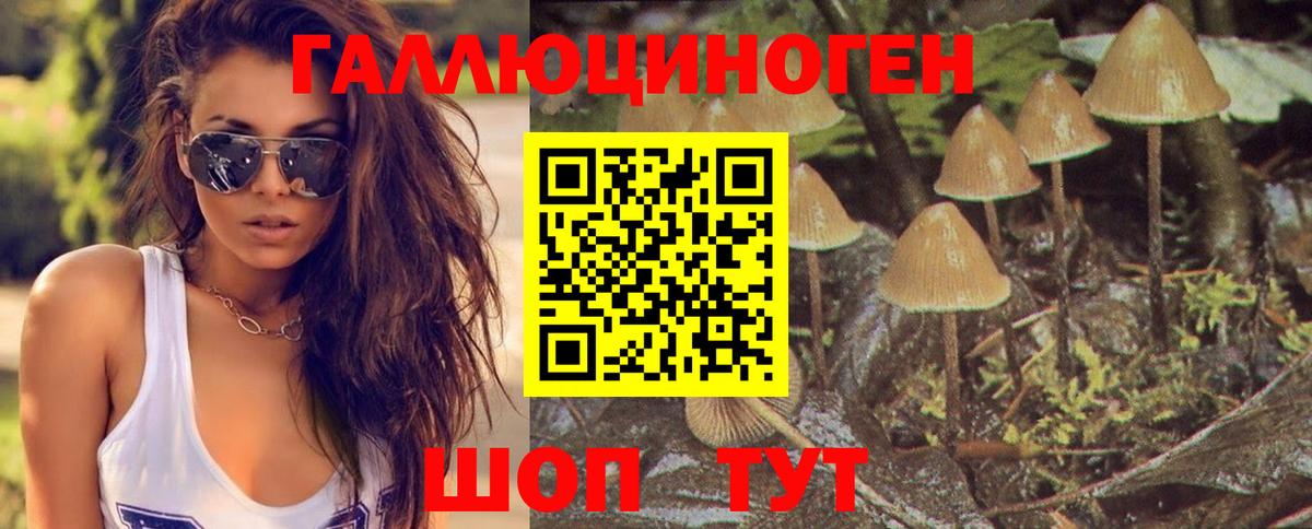 Псилоцибиновые грибы мицелий Маркс